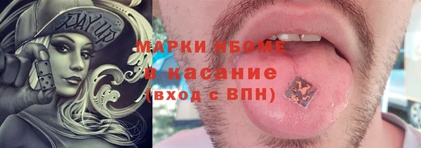 индика Верхний Тагил