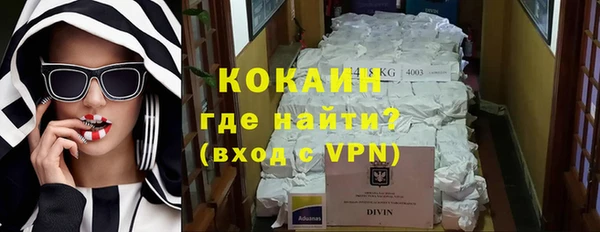 индика Мегион