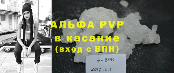 индика Мегион