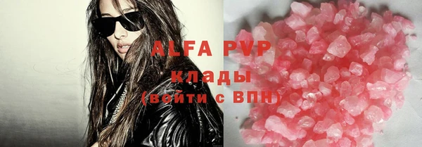 индика Мегион