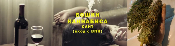 индика Мегион