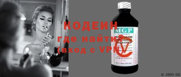 индика Мегион
