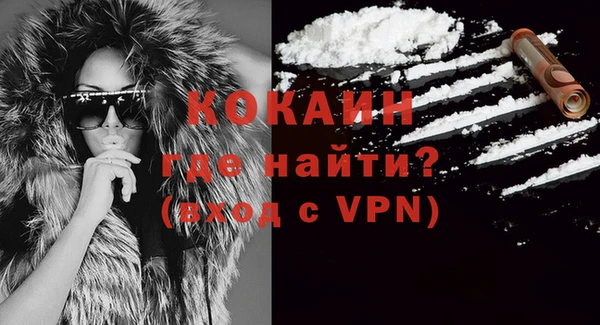 индика Мегион