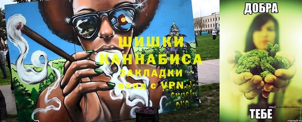 индика Мегион