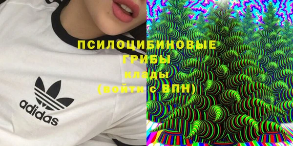 соль ск Медногорск