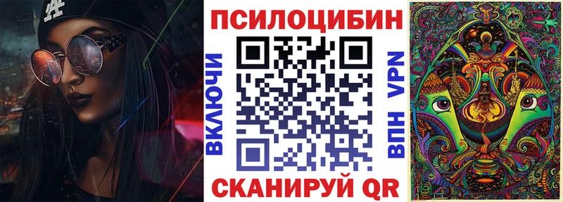 купить   Данилов  Галлюциногенные грибы прущие грибы 